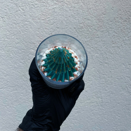 Karácsonyi Szójagyertya - Winter Fir